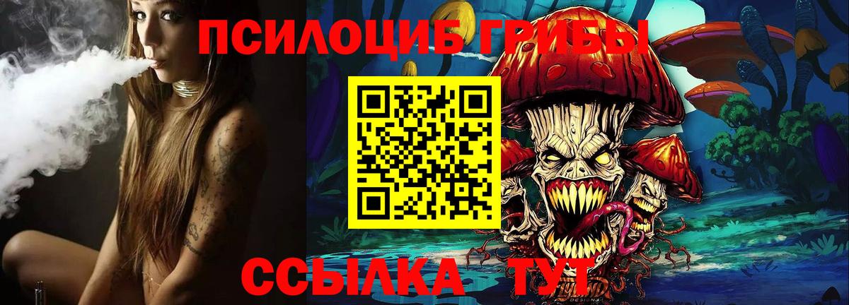 Екатеринбург  Галлюциногенные грибы Cubensis  Вход с VPN 